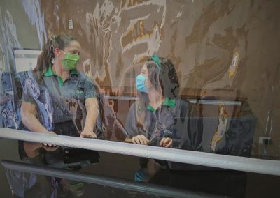 Cortina PVC Coronavírus COVID-19